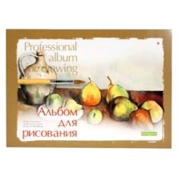 Альбом 20л. А5 Альт 1-20-004 "Прфессиональная серия" на склейке 