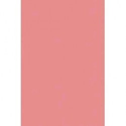 Бумага цветная А4 10л. Апплика С3036-11 ПЭТ ярко-розовый, тонированная 