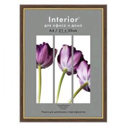 Фоторамка  Interior Office 586 5серия 21*30cм ольха пластиковая