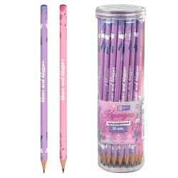Карандаш ч/г Феникс 63679 HB "Пастель" ассорти