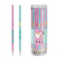 Карандаш ч/г Феникс 70174 HB "Пастель" ассорти