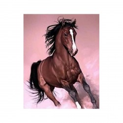 Набор для рисования Alingar AL9228 "Картина по номерам" 40х50см "Конь" холст 