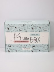Набор подарочный Алеф MB100 MilotaBox Школьный "School Box"