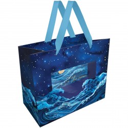 Пакет подарочный MESHU MS_61695 "Moon sky" 23*18*10см, с окошком 371134