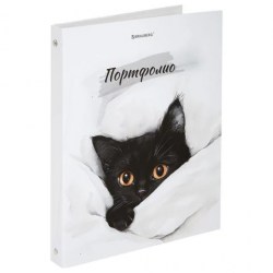 Папка-портфолио универсальная Вrauberg 107557/117557 "Cat" 20 файлов, 4 кольца, 30мм, 7БЦ 