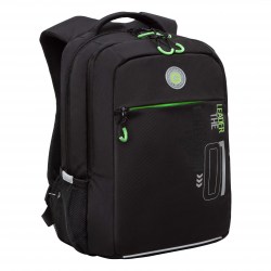 Рюкзак Grizzly RB-456-2/2 черный/зеленый