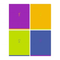 Тетради набор  48л БиДжи 11031 "Monocolor. Chat" клетка, неоновая краска, ассорти /4шт/ 340975