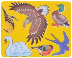 Трафареты для рисования Луч 9С449-08 "Птицы" 165*205мм, пластик 010565