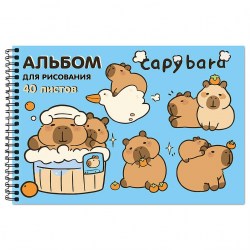 Альбом 40л. Centrum 78692 "Капибара" на пружине 100г/м2