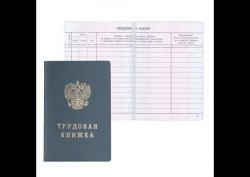 Бланк "Книжка трудовая" Гознак 015194