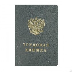 Бланк "Книжка трудовая" Нового образца Гознак 349212