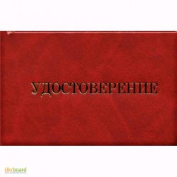 Бланк "Удостоверение" ЧДП 048 с подушкой
