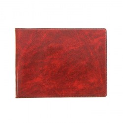 Бланк "Удостоверение" ЧДП 0481 без тиснения с подушкой