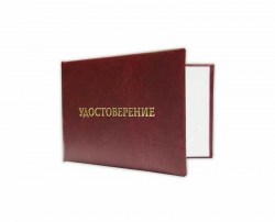 Бланк "Удостоверение" ЧДП 04820 без тиснения плоский