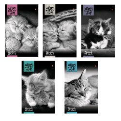 Блокнот А5  40л. Альт 3-40-462 "КОШКИ" 5 видов 