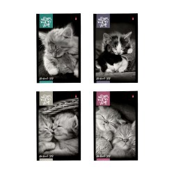 Блокнот А5  40л. Альт 3-40-466 "КОТЯТА" 4 вида