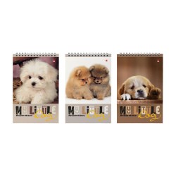 Блокнот А5  40л. Альт 3-40-509 "СОБАКИ" на пружине 3 вида