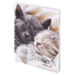 Блокнот А6  80л. Staff 114439 "Котики" клетка, 7БЦ