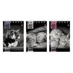 Блокнот А7  40л. Альт 3-40-007 "Кошки" на пружине, 3 вида 
