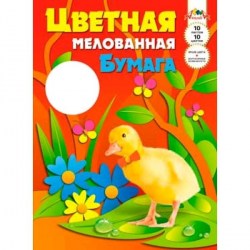 Бумага цветная А3 10л. 10цв. С390-04 "Утенок" "Папугай" мелованная /Апплика/