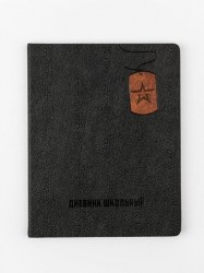 Дневник Альфа-Тренд 110136 "Юнармия" 1-11 класс, жетон-коричневый, кожзам, ляссе
