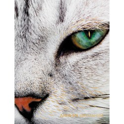 Дневник Канц-Эксмо ДУФ224805 "Котик" 5-11 классы, мокрый шелк, тисн. "Золото"