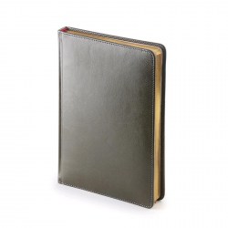 Ежедневник А5 Bruno Visconti 3-128/09 "Sidney Nebraska" серый, золотой обрез   