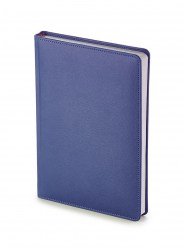 Ежедневник А5 Bruno Visconti 3-129/01 "LEADER" синий 
