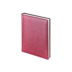 Ежедневник А6 Bruno Visconti 3-495/02 "VELVET" бордовый