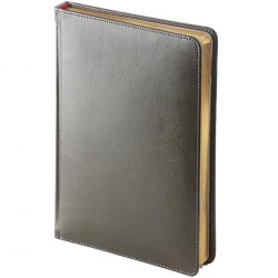 Ежедневник А6 Bruno Visconti 3-496/09 "Sidney Nebraska" серый, золотой обрез