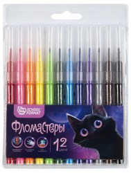 Фломастеры 12цв. Schoolformat ФЛ12-МДВ "МИКС" 256785