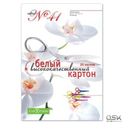 Картон белый А4 20л. Альт 11-420-109 набор №41 
