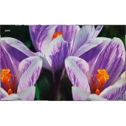 Коврик настольный Attashe Selection 35х59см CROCUS цветок ламинир картон 1277769