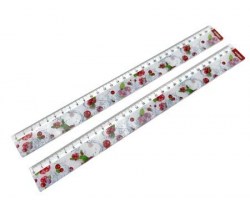 Линейка  30см Нева Маркет INTELLIGENT CD-127-4 "Брусника" с рисунком 