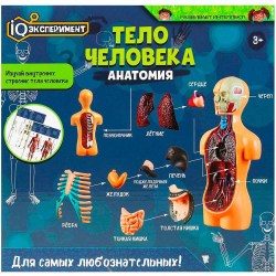 Набор для творчества Умка IQ эксперимент А365-Н24041-R тело человека 17120/369090