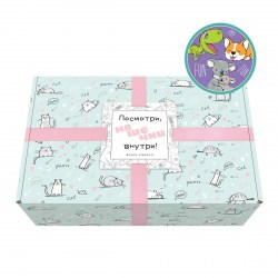 Набор подарочный Альт 2-849/10 MIMI BOX "FUN"