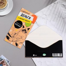 Открытка-конверт для денег Сима 9838453 01331 "Просто деньги!" кот 17х8см