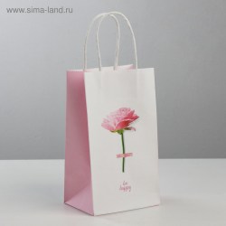 Пакет подарочный 3823471 "BE HAPPY" 12х21х9см крафт 