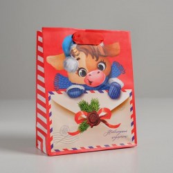 Пакет подарочный 4843272 "Сюрприз" S 5,5*12*15 вертик ламинир