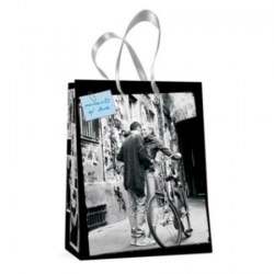 Пакет подарочный Альт 2-319/2 "Романтические пары" 17,8*22,5*10,2см вертикальный /Альт/