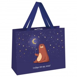 Пакет подарочный MESHU MS_51947 "Я подарю тебе луну" 23*18*10см горизонтальный 354650