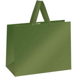 Пакет подарочный MESHU MS_61617 "Green" 32*26*12см горизонтальный 371056
