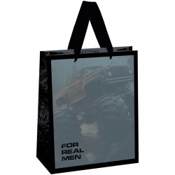 Пакет подарочный MESHU MS_61654 "For man" 18*23*10см 371093