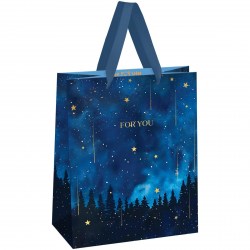Пакет подарочный MESHU MS_61681 "Night magic" 18*23*10см 371120