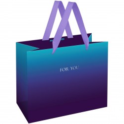 Пакет подарочный MESHU MS_61705 "Intense gradient" 23*18*10см 371144