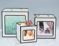 Пакет подарочный МШ 0393-11 "Люкс" с ручками  250х250х250мм