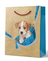 Пакет подарочный Русский Дизайн 43250 "Крафт" М МИКС 180*227