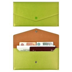 Папка Феникс 48410 органайзер д/путешествий НАППА САЛАТОВЫЙ МЕТАЛЛИК 227х110мм