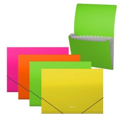 Папка на резинках А4 ErichKrause 50428 Matt NEON 13 отделений ассорти 