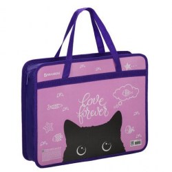 Папка-сумка А4 Brauberg 270122 "Black Cat" 80мм, на молнии с ручками 